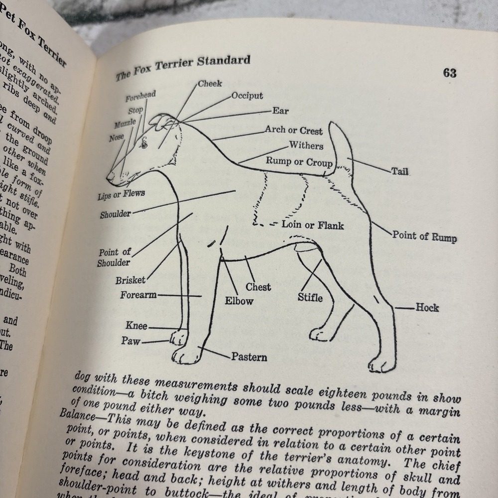 Pet Fox Terrier vintage dog breed book Tilly Beyer 1954 - Picture 4 of 5